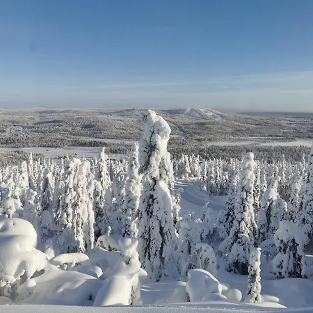 Pöllönpesä Huoneisto