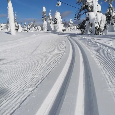 Poelloenpesae *